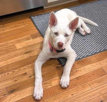 Photo of Martha