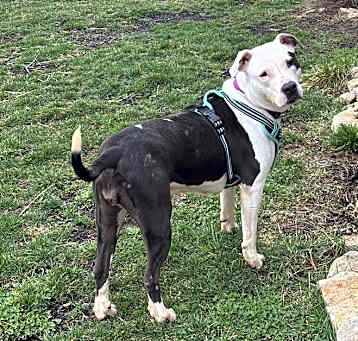 Photo of Penelope