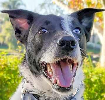 Photo of Zuko