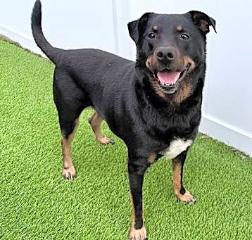 Photo of Zeke