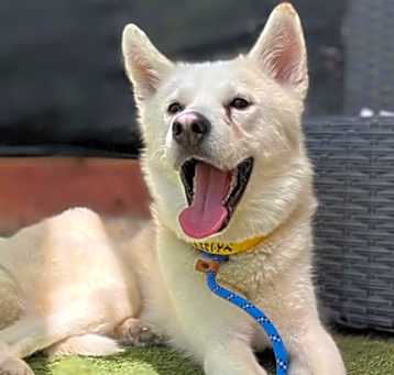 Photo of Buddy 3