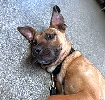 Photo of Huggie Bear