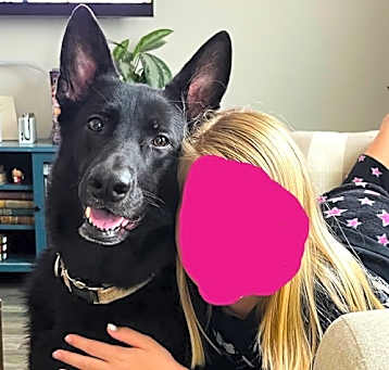 Photo of Samus-5 yr. FullyVetted/Housetrained/GoodCat&Dogs