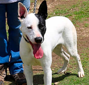 Photo of Jinx