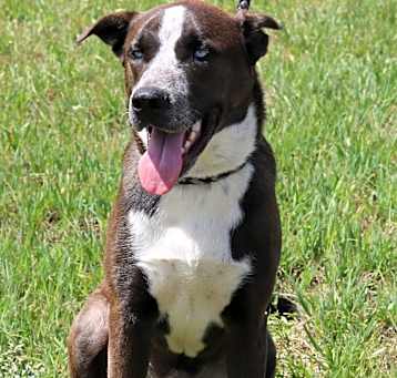Photo of Duke