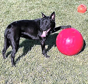 Photo of Morticia