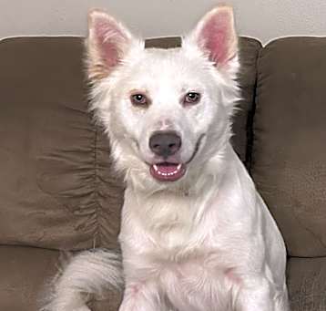 Photo of Rocky