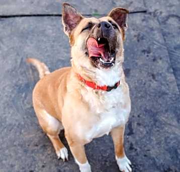 Photo of Ivony