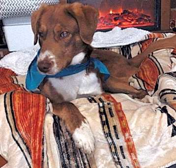 Photo of Georgie