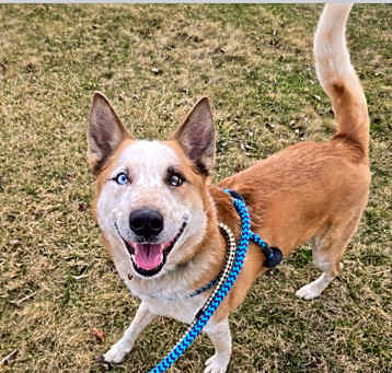 Photo of Bingo