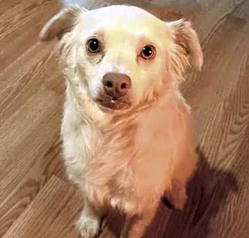 Photo of Porter