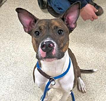 Photo of Lotto