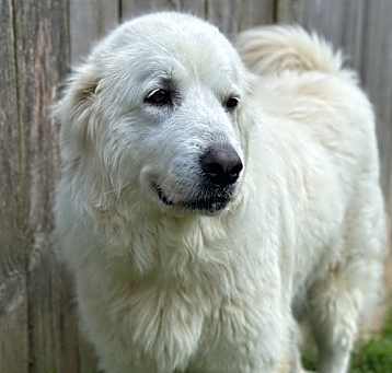 Photo of Milana