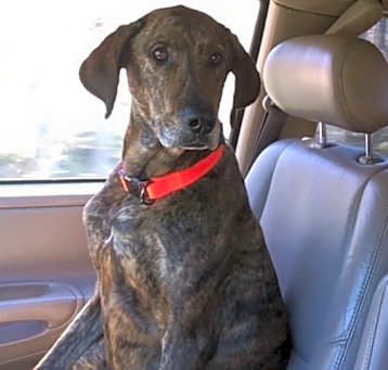 Photo of Gretzky