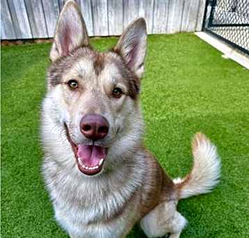Photo of Mocha