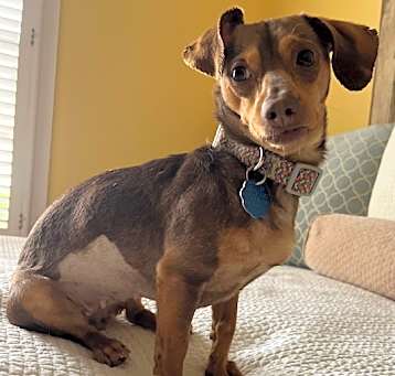 Photo of Lulu