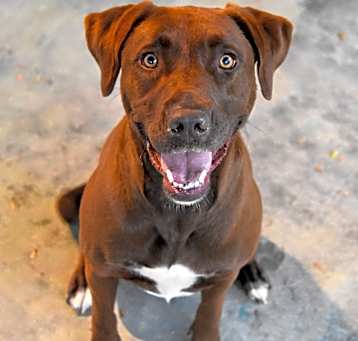 Photo of Remi