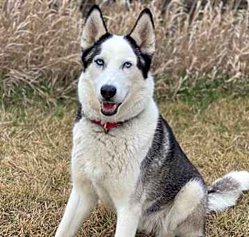 Photo of Blue