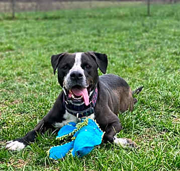 Photo of Dex