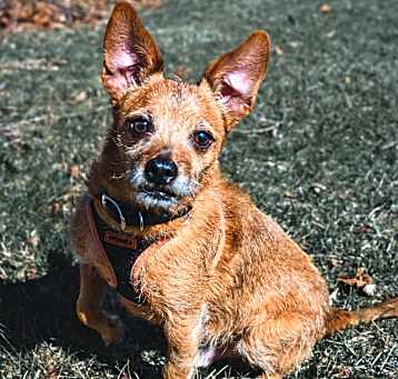 Photo of Marty