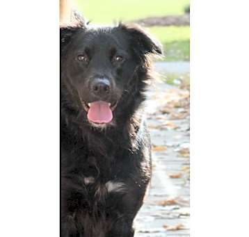Photo of Lilly