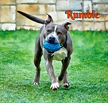 Photo of Rumble