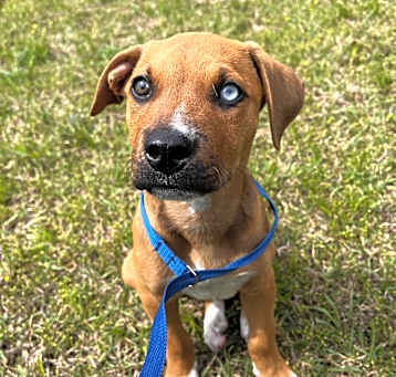 Photo of Bruce