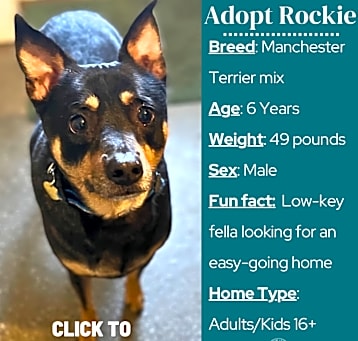 Photo of Rockie