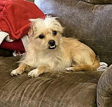 Photo of Aubrey