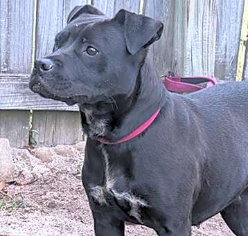 Photo of Bebe