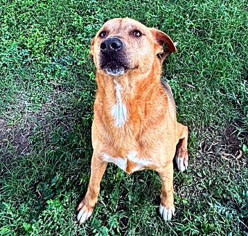 Photo of Mila (Germy)