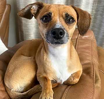 Photo of Lulu