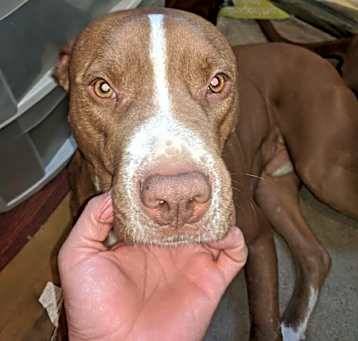 Photo of OTIS