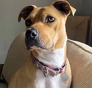 Photo of Noelle