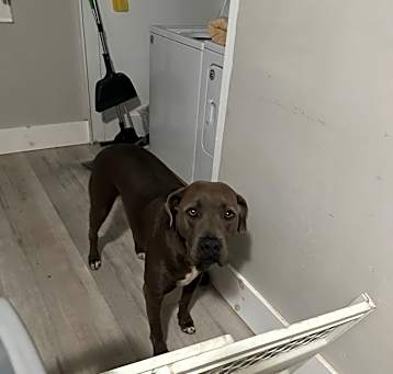 Photo of Blu