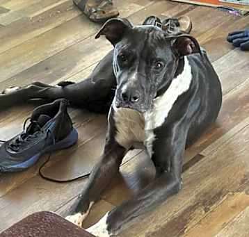 Photo of Molly