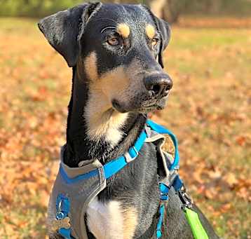 Photo of Packy