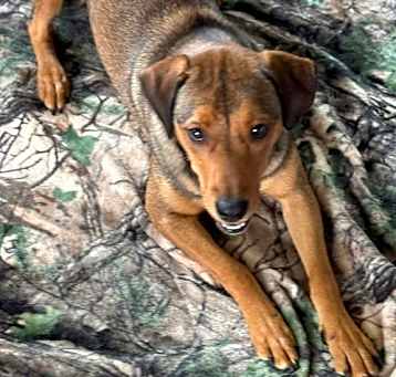 Photo of Gabby