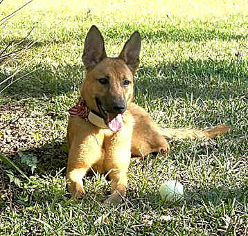 Photo of Bonnie