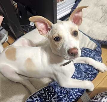 Photo of Itty