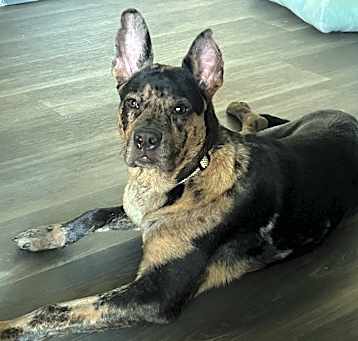 Photo of Roky