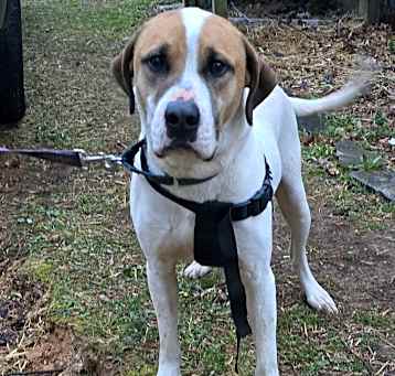 Photo of DEUCE