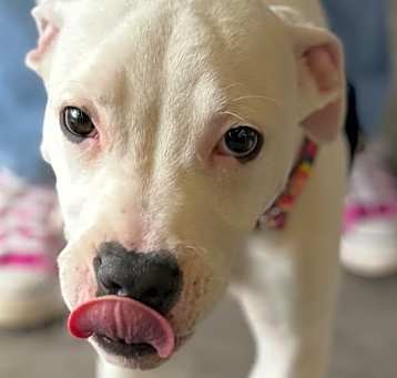 Photo of Pepper