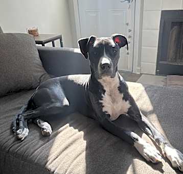 Photo of Sophie