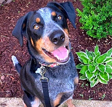 Photo of Remi