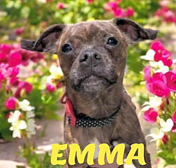 Photo of Emma