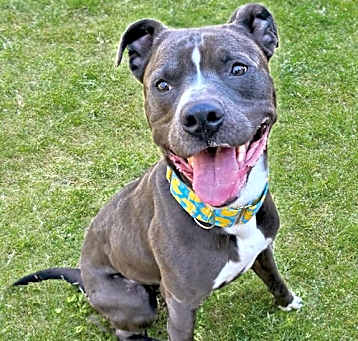 Photo of Moxie