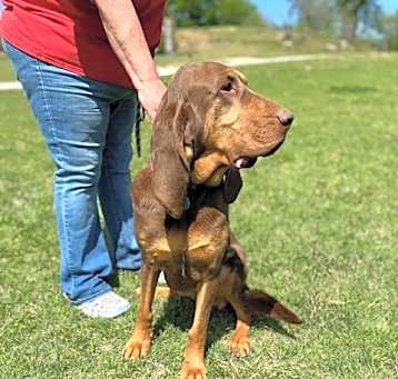 Photo of Juno