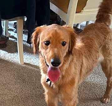 Photo of Charlie 