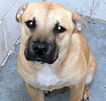 Photo of Sandy